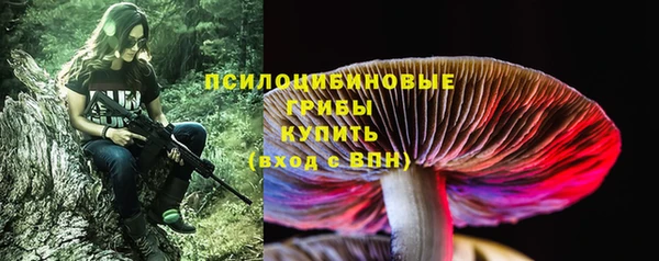 таблы Карпинск