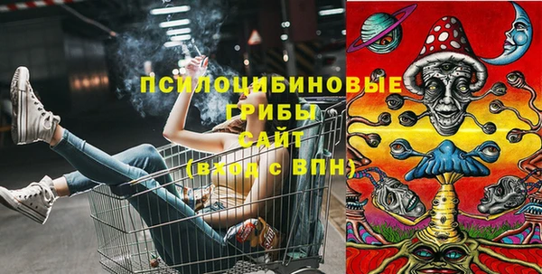 таблы Карпинск