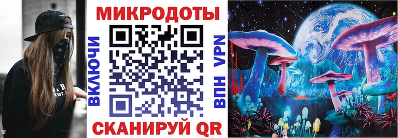 Купить  Щёкино  Псилоцибиновые грибы Psilocybine cubensis 