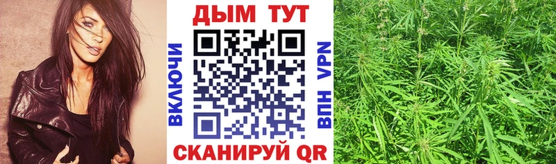 Купить закладки  Щёкино  Марихуана Ganja 